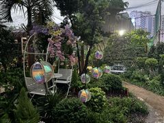-正佳雨林生态植物园