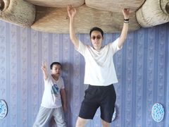 -金山农民画村-枫泾波兰倒置屋