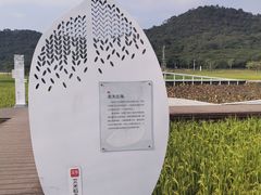 -艾米稻香小镇