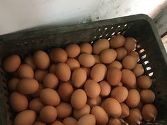 -217笋干馄饨