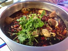 -川囧肥肠鸡·美蛙鱼锅(平高广场店)