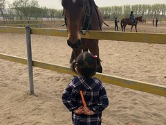 -月河湾马术俱乐部(朝阳店)