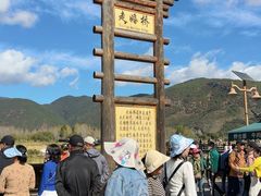 -泸沽湖国家级风景名胜区走婚桥