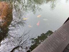 -白马涧龙池景区