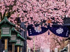 -帝京日语(春熙路旗舰校区)