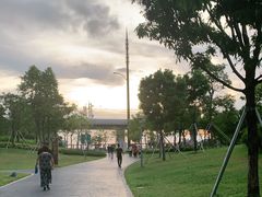 -宝安西湾红树林湿地公园