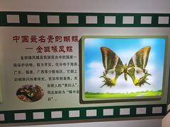-上海昆虫博物馆