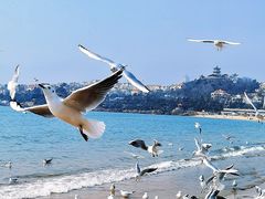 -青岛第一海水浴场