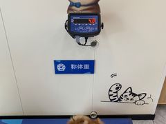 -芭比堂动物医院·24小时·眼科中心(深圳中心)