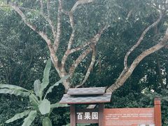 -中国科学院西双版纳热带植物园