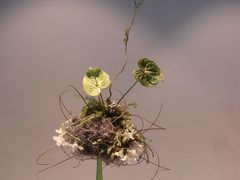 国际花卉艺术展-广州市第二少年宫