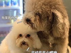 -more than meow吴止猫主题餐厅(承德 中船汇店)