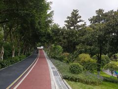 -大渡口区义渡公园