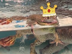 -盒马鲜生(顺义店)