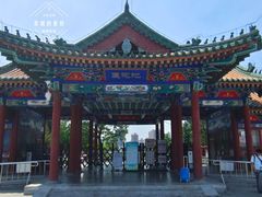 -莲花池公园