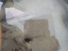 -佳怡动物医院·平价24小时·猫专科骨外科