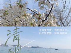-五四广场
