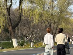 -羊山湖公园