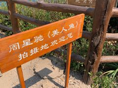 -杨梅坑