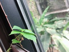 -福田家月子中心 产后 月嫂(市立母子医院店)