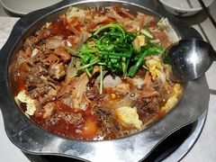 -古乐牛香·鲜牛肉牛杂火锅(新区店)