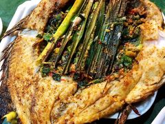 -菌乡缘·野生菌蒸汽鱼火锅(江边夜市店)
