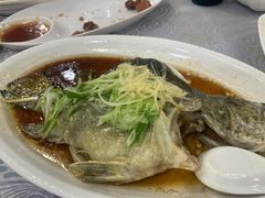 蒸桂花鱼-粤·向群饭店(龙津东路总店)