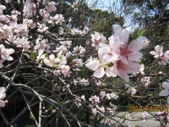 -上海市龙华烈士陵园