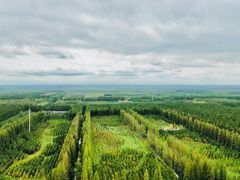 -黄海国家森林公园