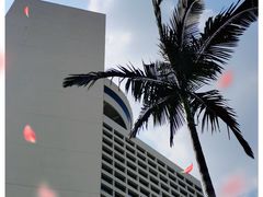 -广州花园酒店