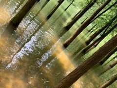 -广州市帽峰山景区