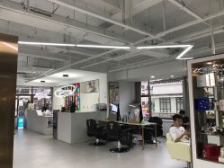 -蚂蚁造型沙龙