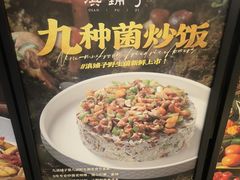 -滇铺子·云南特色菜·第九届野生菌美食节(东风东路c86店)