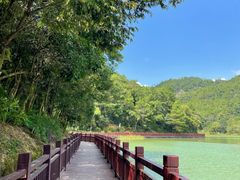 -广州白江湖森林公园