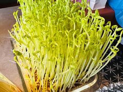 活体鲜豆苗-罗勒家·养生火锅· Bistro(大望路店)