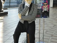 -济州岛泰迪熊博物馆