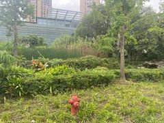 -活水公园