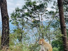 -重庆雨台山风景区