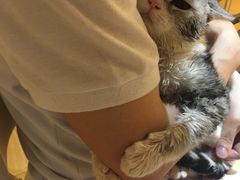 -Pets First伊珊娜洗护·精致美容·家庭式寄养(新会路店)