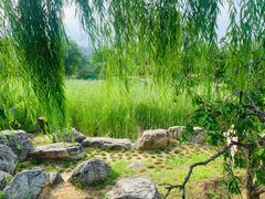 景点-滨河世纪广场公园