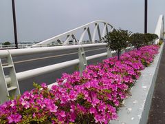 -万达广场(南京江宁店)