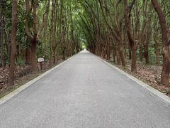 -同里国家湿地公园