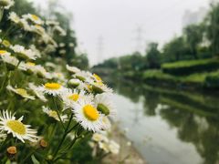 -东方国际水产中心-停车场