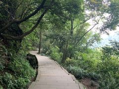 -青城山