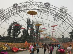 -秀丽东方