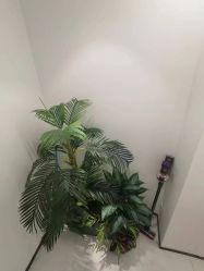 -杭州整形医院·国际部
