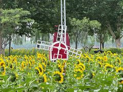 -廊坊文化艺术中心