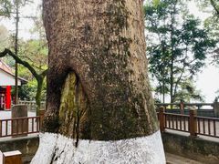 -安溪清水岩