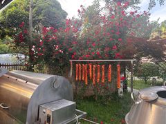 -洪湖家庭农场·团建·露营·会议