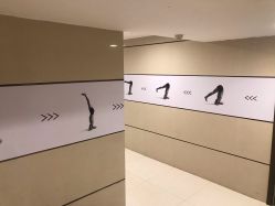 -Tao瑜伽